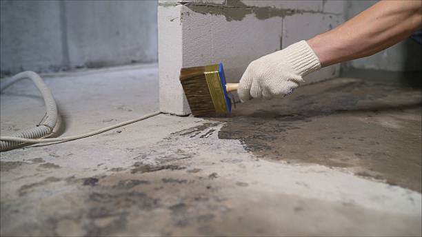 24/7 Emergency Wet Basement Repair experts in Luther, MI